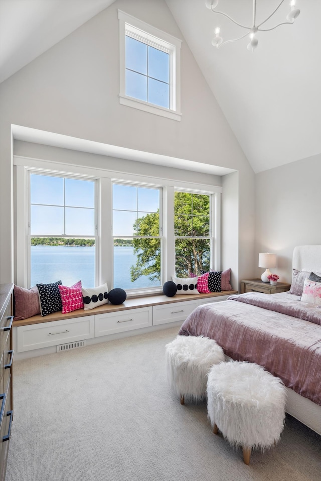 2475 Dunwoody Ave, Orono, MN 55391 - carpeted bedroom featuring high vaulted ceiling, multiple windows, and a water view
