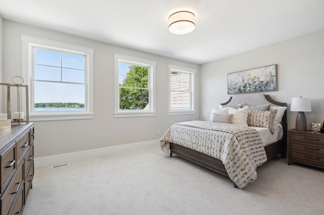 2475 Dunwoody Ave, Orono, MN 55391 - bedroom with light carpet and baseboards
