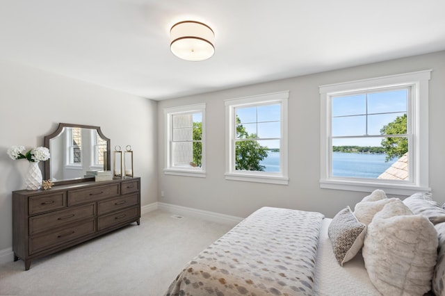 2475 Dunwoody Ave, Orono, MN 55391 - bedroom with light colored carpet, baseboards, and a water view