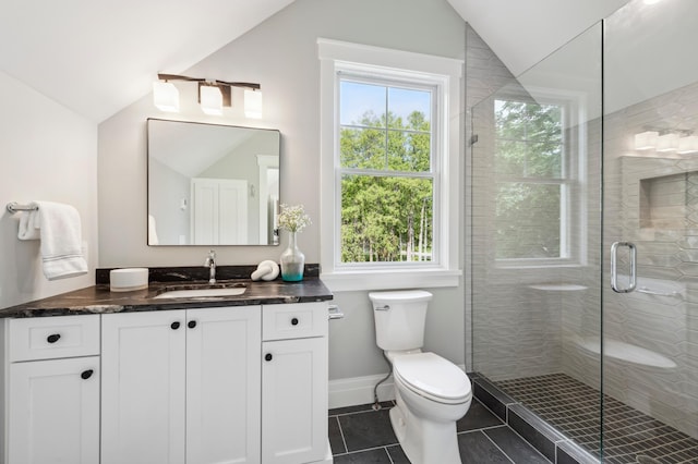 2475 Dunwoody Ave, Orono, MN 55391 - bathroom featuring lofted ceiling, vanity, toilet, a stall shower, and tile patterned flooring