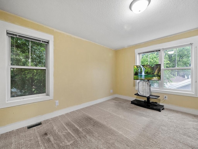 2727 3rd St, Minneapolis, MN 55411 - carpeted spare room featuring plenty of natural light and a textured ceiling