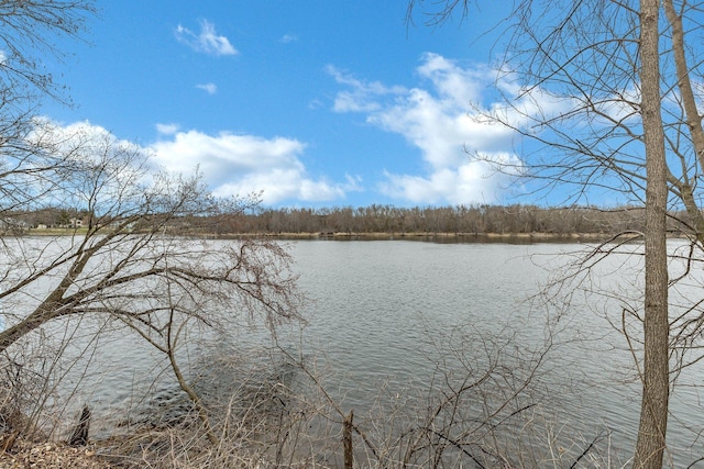 10267 Ferry Point Pl NW, Watab Twp, MN 56367 - water view