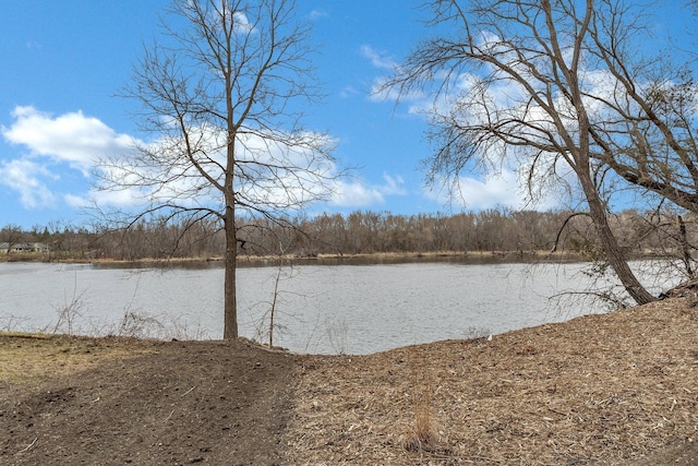10267 Ferry Point Pl NW, Watab Twp, MN 56367 - water view with a heavily wooded area