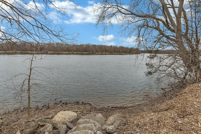 10267 Ferry Point Pl NW, Watab Twp, MN 56367 - water view