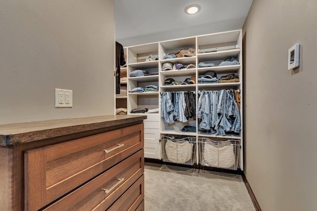 10267 Ferry Point Pl NW, Watab Twp, MN 56367 - walk in closet featuring carpet flooring