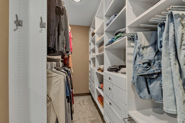 10267 Ferry Point Pl NW, Watab Twp, MN 56367 - spacious closet featuring light carpet