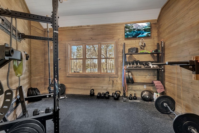 10267 Ferry Point Pl NW, Watab Twp, MN 56367 - workout area featuring wooden walls