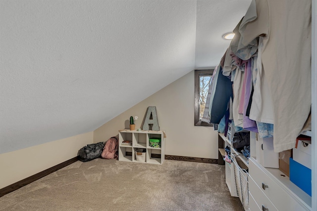 10267 Ferry Point Pl NW, Watab Twp, MN 56367 - interior space featuring a textured ceiling, lofted ceiling, and baseboards