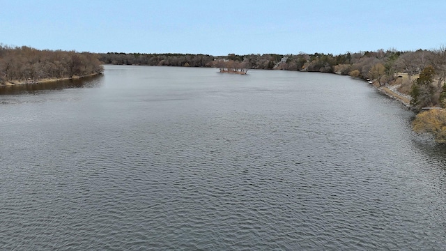 10267 Ferry Point Pl NW, Watab Twp, MN 56367 - water view with a forest