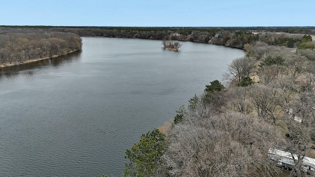 10267 Ferry Point Pl NW, Watab Twp, MN 56367 - water view with a forest