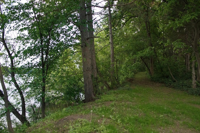 10267 Ferry Point Pl NW, Watab Twp, MN 56367 - view of tree filled area
