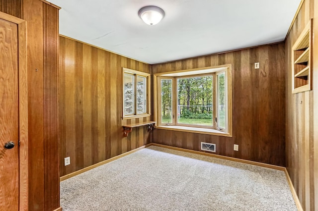 20257 Viking Blvd NE, Wyoming, MN 55092 - unfurnished room featuring wood walls, carpet, and baseboards