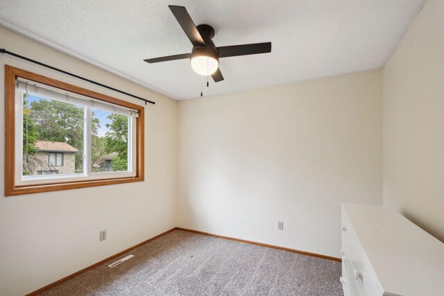 11813 Kerry St NW, Coon Rapids, MN 55433 - spare room with carpet floors and ceiling fan