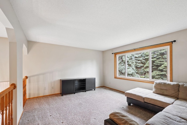 11813 Kerry St NW, Coon Rapids, MN 55433 - living area with carpet floors and a textured ceiling