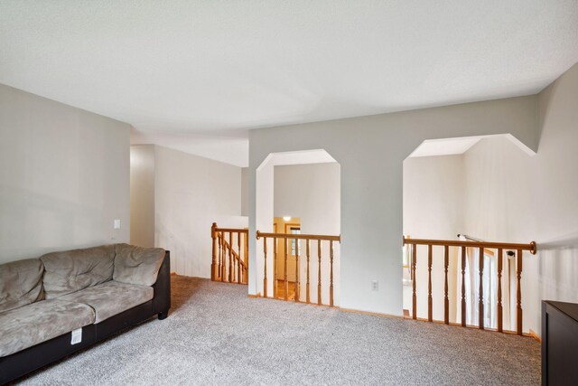 11813 Kerry St NW, Coon Rapids, MN 55433 - living area with carpet floors