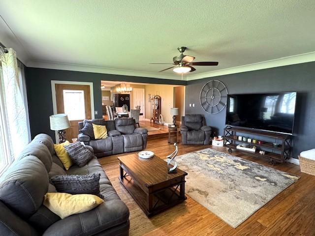 208 Mason Ave, Verndale, MN 56481 - living area with a chandelier, a ceiling fan, wood finished floors, ornamental molding, and a textured ceiling