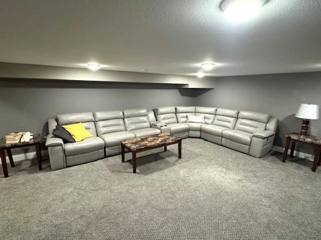 208 Mason Ave, Verndale, MN 56481 - carpeted living room featuring a textured ceiling