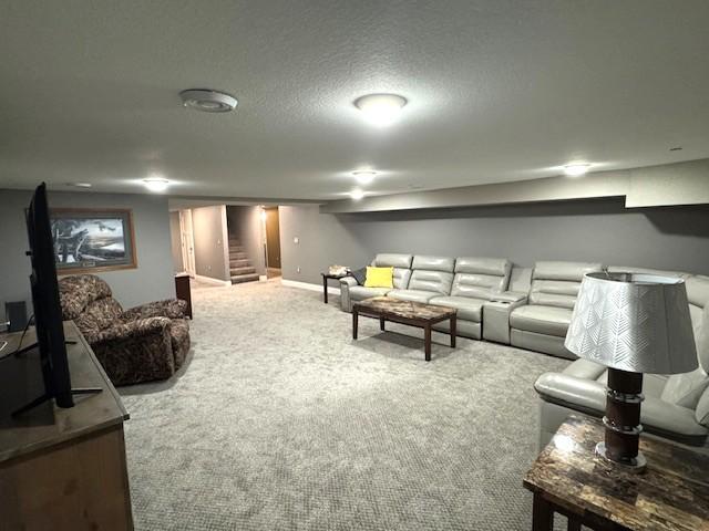 208 Mason Ave, Verndale, MN 56481 - cinema featuring carpet flooring and baseboards