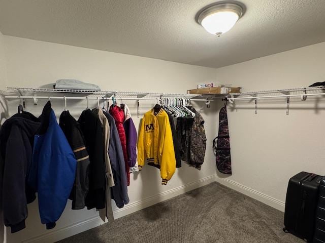 208 Mason Ave, Verndale, MN 56481 - spacious closet featuring carpet floors