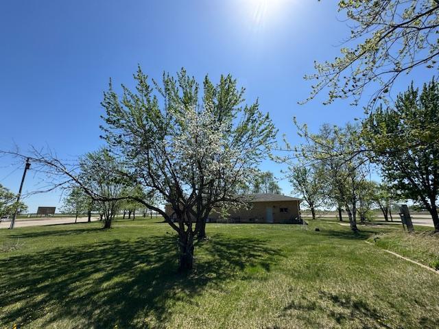 208 Mason Ave, Verndale, MN 56481 - view of grassy yard