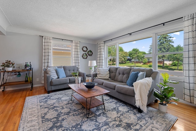 3646 Buchanan St NE, Minneapolis, MN 55418 - living room with a textured ceiling and wood finished floors