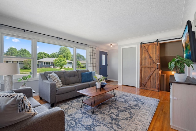 3646 Buchanan St NE, Minneapolis, MN 55418 - living room featuring a textured ceiling, a barn door, and light wood-style flooring