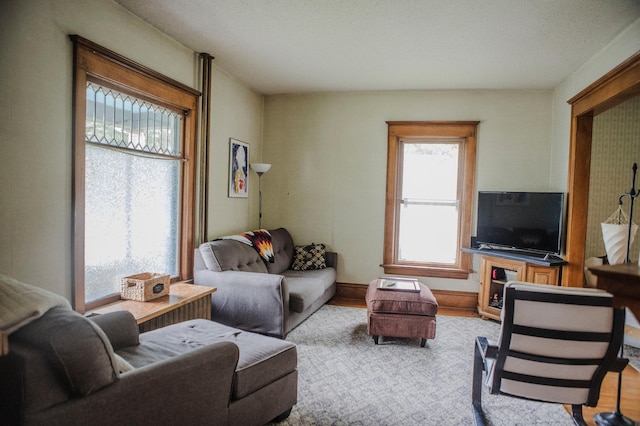 210 6th St, Morris, MN 56267 - living room featuring wood finished floors