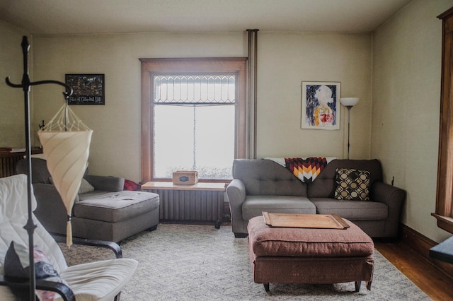 210 6th St, Morris, MN 56267 - living area featuring healthy amount of natural light and wood finished floors