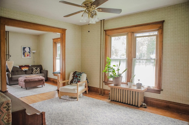 210 6th St, Morris, MN 56267 - living area with radiator, plenty of natural light, wood finished floors, and a ceiling fan