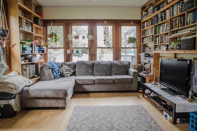 210 6th St, Morris, MN 56267 - living room featuring hardwood / wood-style floors