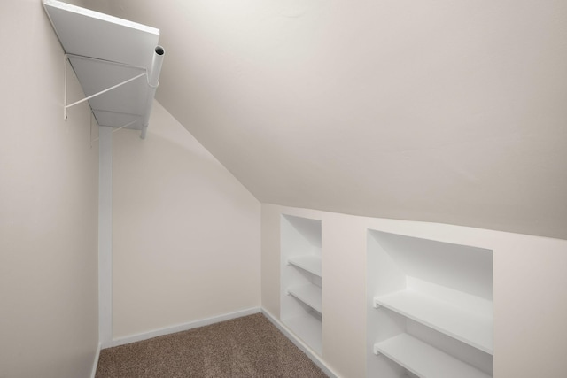1836 Marshall Ave, Saint Paul, MN 55104 - spacious closet with lofted ceiling and carpet