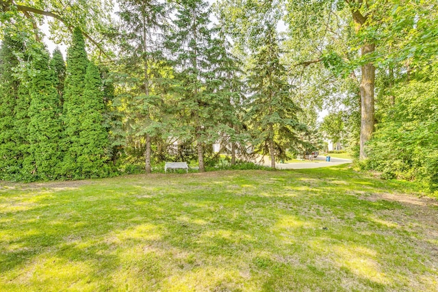 2723 Innsbruck Dr, New Brighton, MN 55112 - view of grassy yard