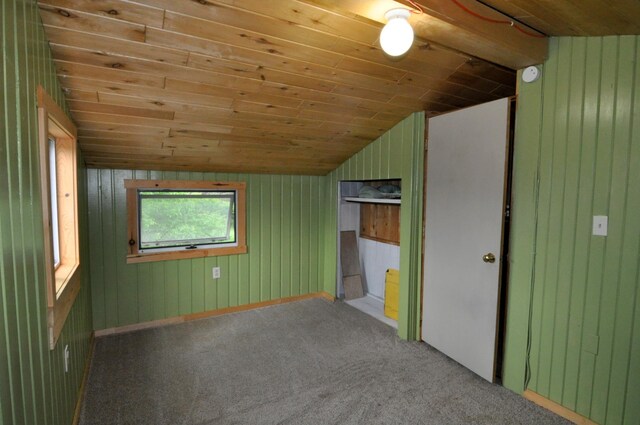 24892 277th Ave, Akeley Twp, MN 56467 - additional living space with vaulted ceiling, wood ceiling, carpet flooring, and wooden walls