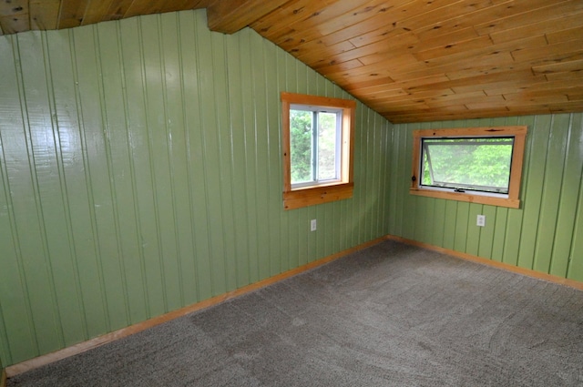 24892 277th Ave, Akeley Twp, MN 56467 - bonus room with healthy amount of natural light, lofted ceiling, wooden walls, carpet floors, and wooden ceiling