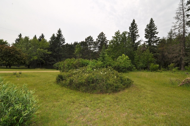 24892 277th Ave, Akeley Twp, MN 56467 - view of green lawn