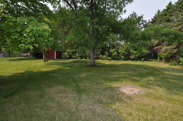 24892 277th Ave, Akeley Twp, MN 56467 - view of green lawn featuring an outdoor structure