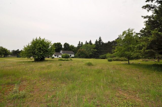 24892 277th Ave, Akeley Twp, MN 56467 - view of yard