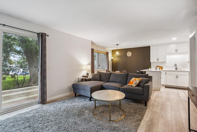 9106 Neill Lake Rd, Eden Prairie, MN 55347 - living area featuring light wood-style flooring and baseboards
