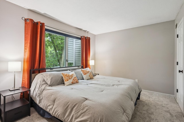 9106 Neill Lake Rd, Eden Prairie, MN 55347 - bedroom featuring carpet floors and baseboards