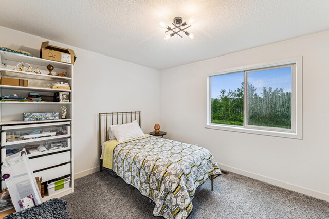 8220 383rd St, North Branch, MN 55056 - photo 17