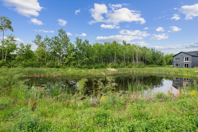 8220 383rd St, North Branch, MN 55056 - photo 29
