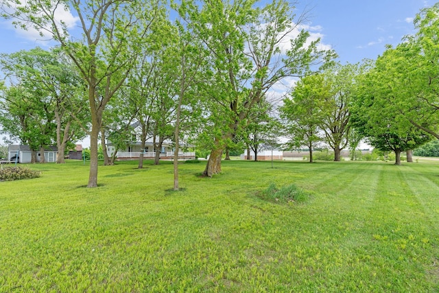 27151 Aberdeen Ave, New Prague, MN 56071 - view of grassy yard