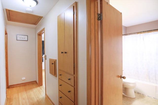1821 4th Ave NE, Austin, MN 55912 - hallway with light wood-style flooring and baseboards