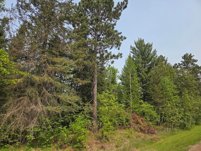 TBD Graycalm Ct SE, Bemidji Twp, MN 56601