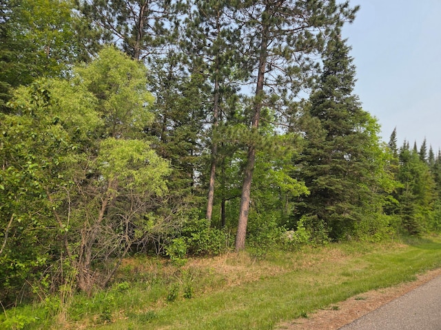 TBD Graycalm Ct SE, Bemidji Twp, MN 56601