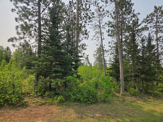 TBD Graycalm Ct SE, Bemidji Twp, MN 56601