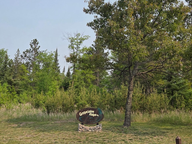 TBD Graycalm Ct SE, Bemidji Twp, MN 56601