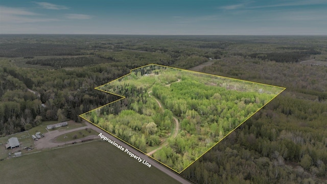 TBD Billy Creek Rd E, Big Falls, MN 56627 - photo 3