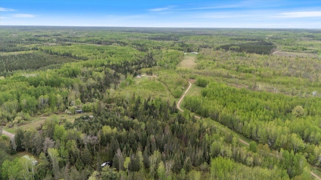 TBD Billy Creek Rd E, Big Falls, MN 56627 - photo 5