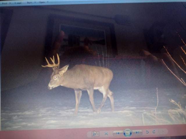 TBD Billy Creek Rd E, Big Falls, MN 56627 - photo 8